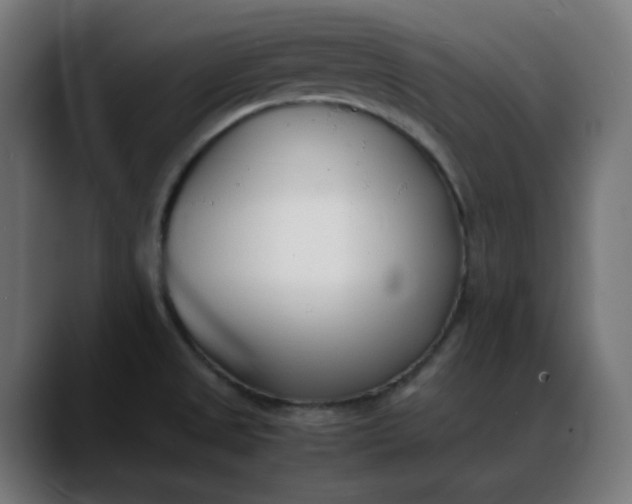 X0000088051525200705251312