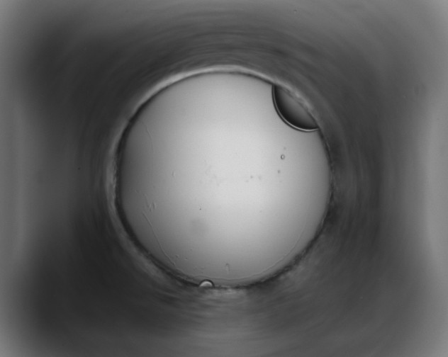 X0000088051526200705251312