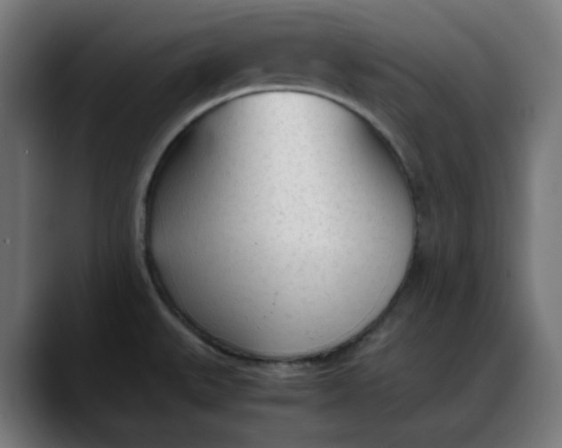 X0000088051527200705251312