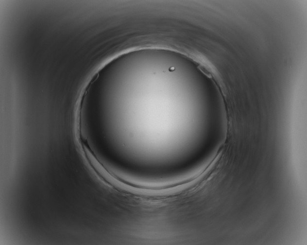X0000088051528200705251312