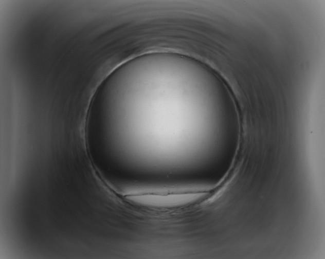 X0000088051529200705251312