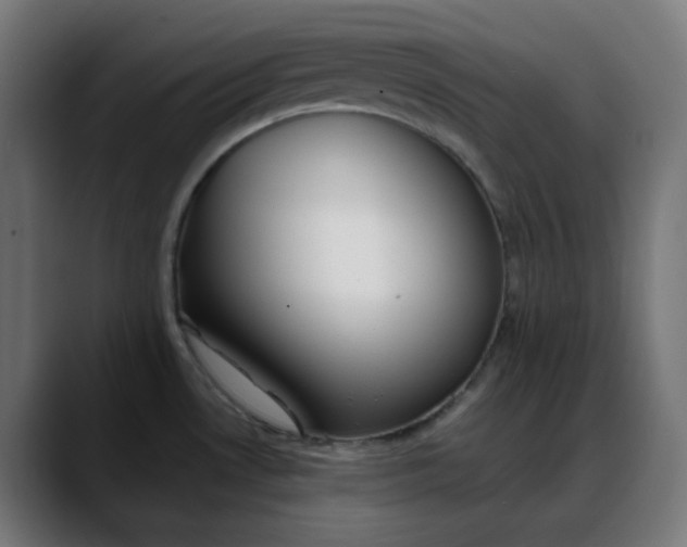 X0000088051530200705251312