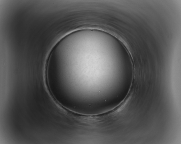 X0000088051533200705251312