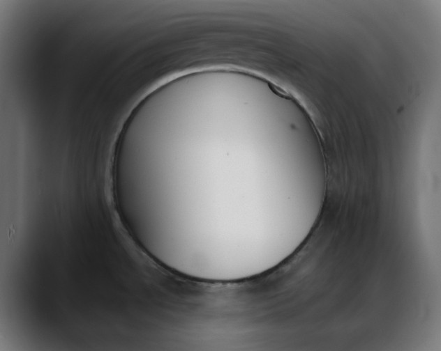 X0000088051534200705251312