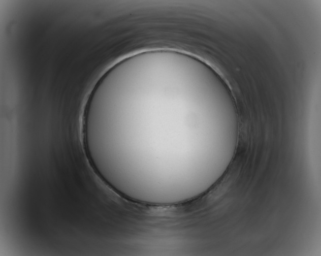 X0000088051535200705251312