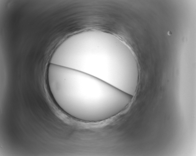 X0000088050001200706011350