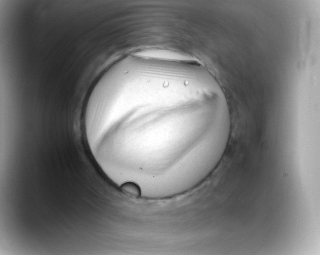 X0000088050002200706011350
