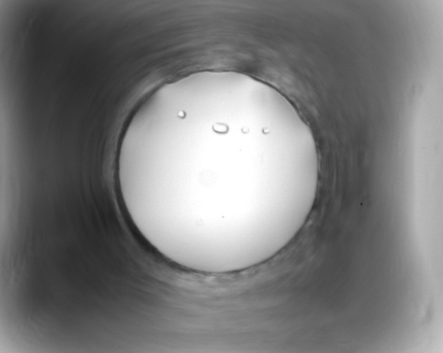 X0000088050003200706011350