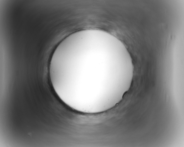 X0000088050005200706011350