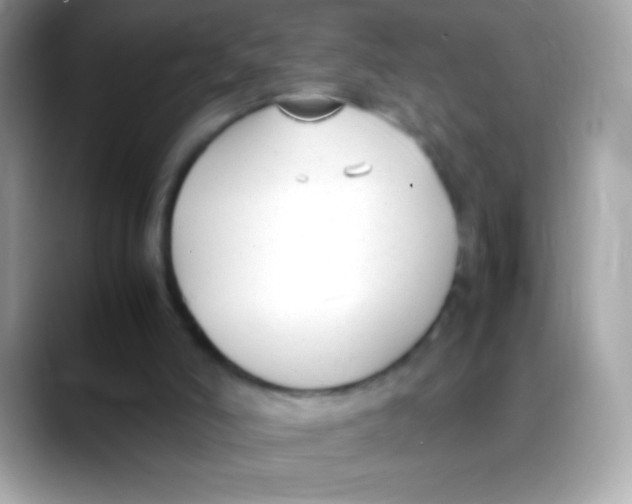 X0000088050006200706011350