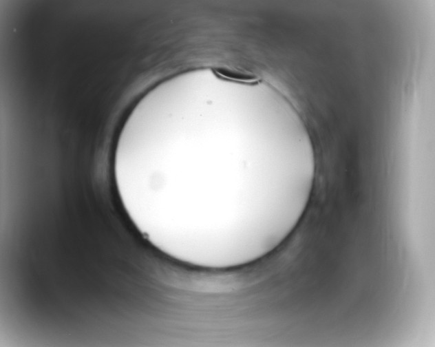 X0000088050008200706011350