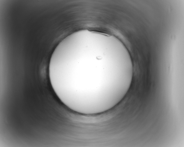 X0000088050010200706011350