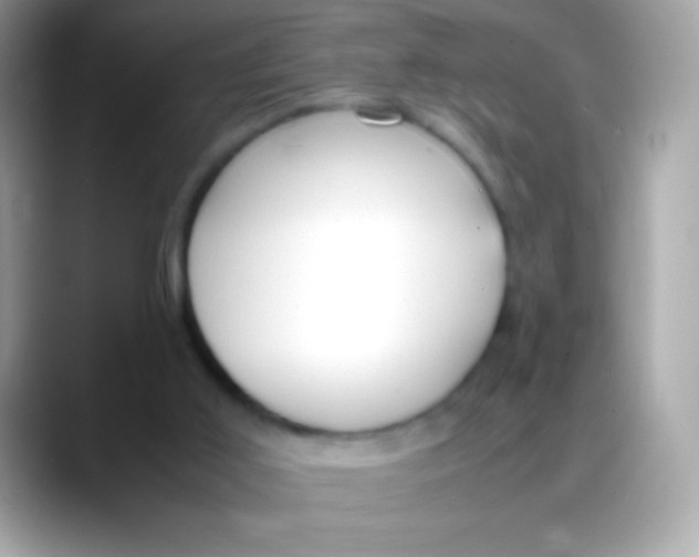 X0000088050011200706011350