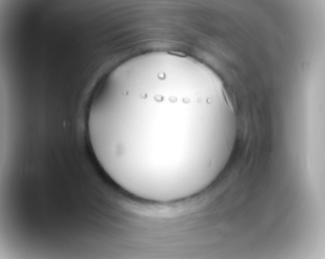 X0000088050015200706011350