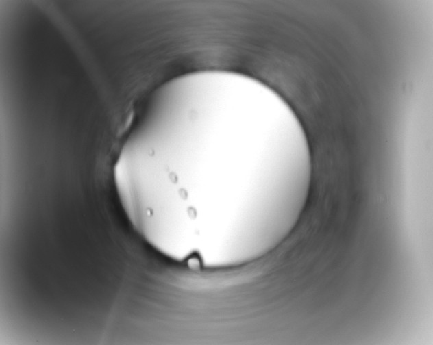 X0000088050017200706011350