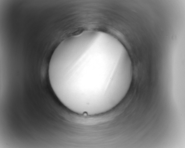 X0000088050018200706011350