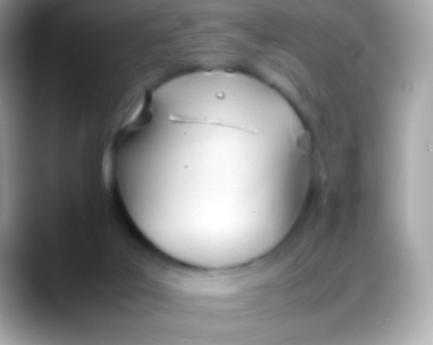 X0000088050019200706011350