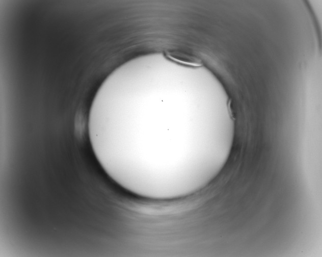 X0000088050021200706011350