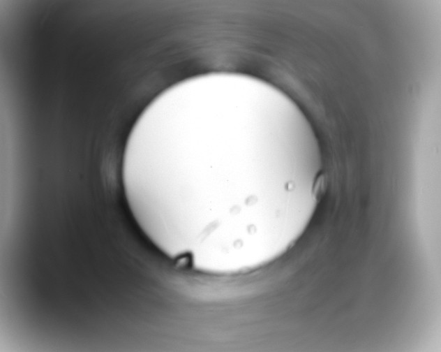 X0000088050023200706011350