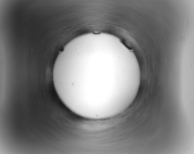X0000088050025200706011350