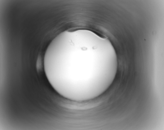 X0000088050026200706011350