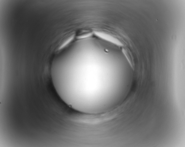 X0000088050029200706011350