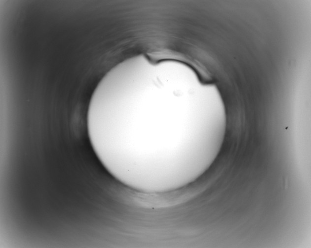 X0000088050030200706011350