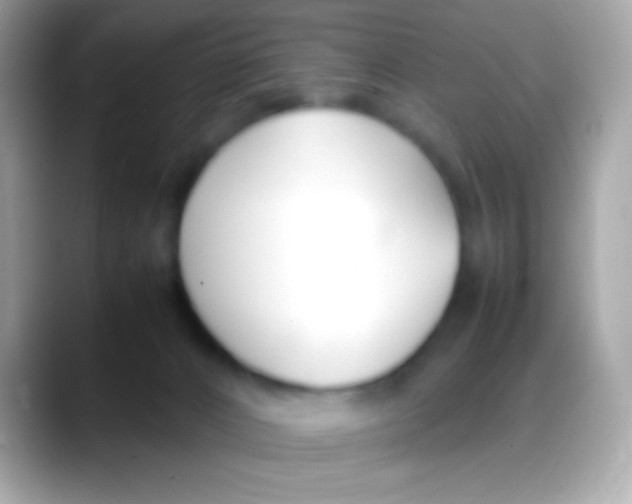 X0000088050032200706011350