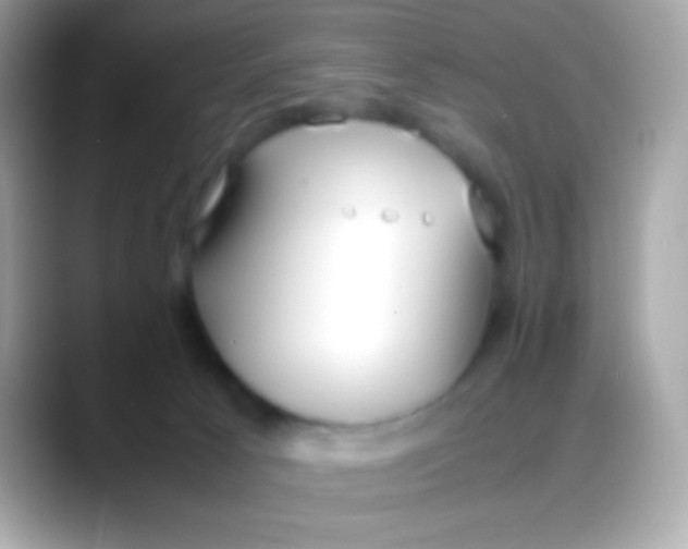 X0000088050033200706011350