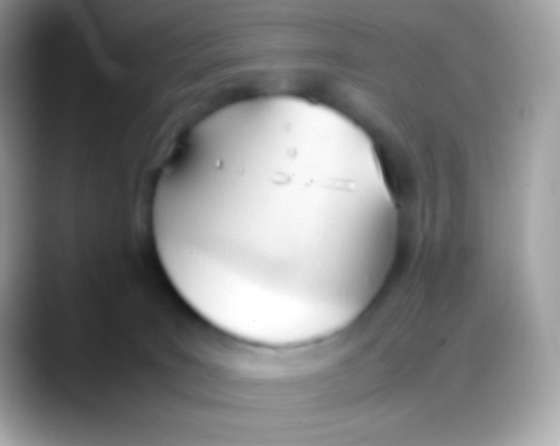 X0000088050035200706011350