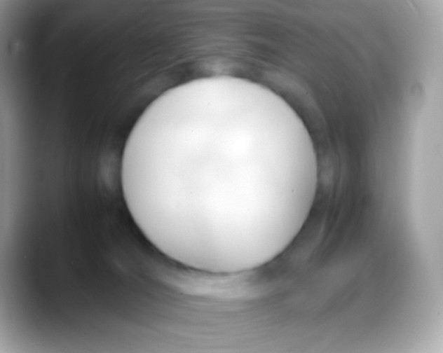 X0000088050036200706011350