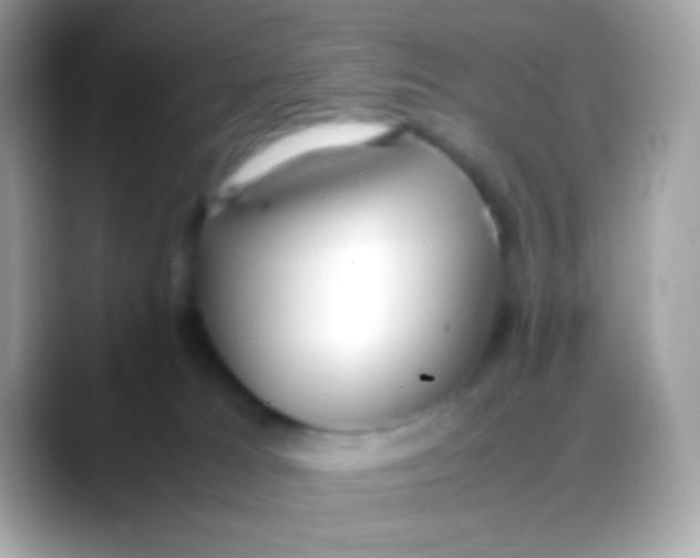 X0000088050037200706011350