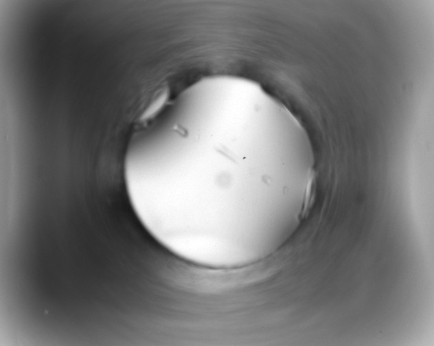 X0000088050039200706011350