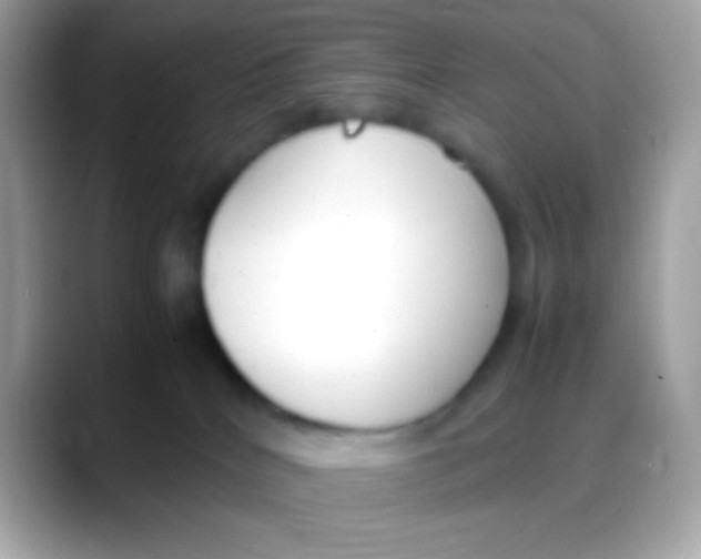 X0000088050040200706011350