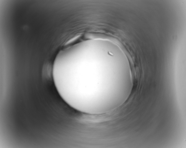 X0000088050041200706011350