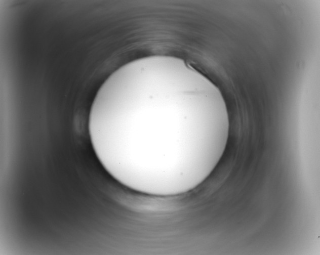 X0000088050044200706011350