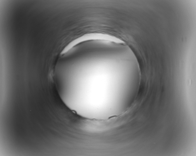 X0000088050045200706011350