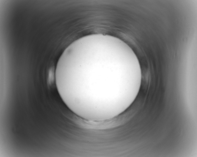 X0000088050046200706011350