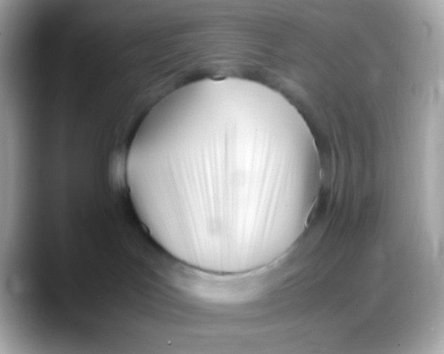 X0000088050047200706011350