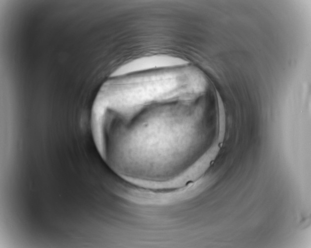 X0000088050048200706011350