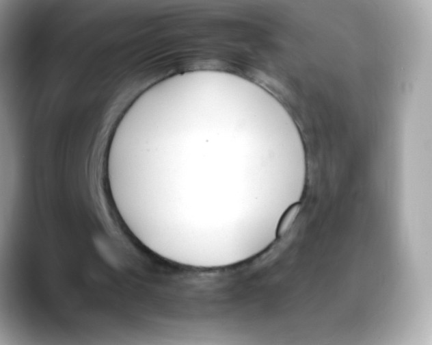 X0000088050049200706011349