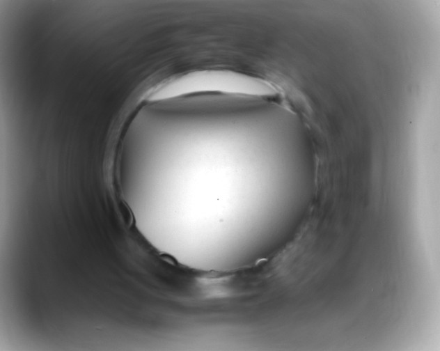 X0000088050051200706011349
