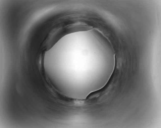 X0000088050052200706011349