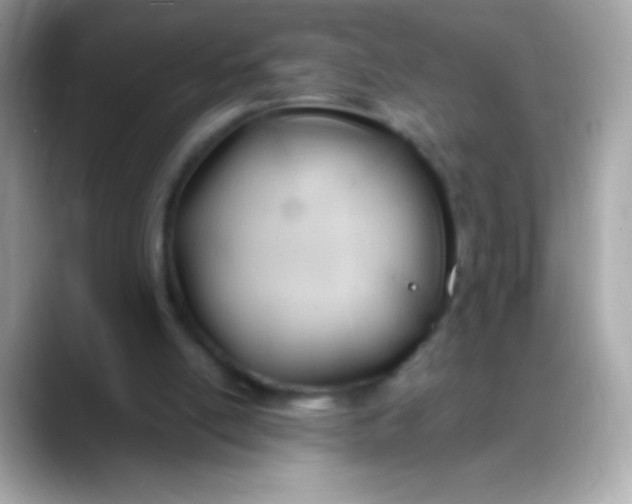 X0000088050054200706011349