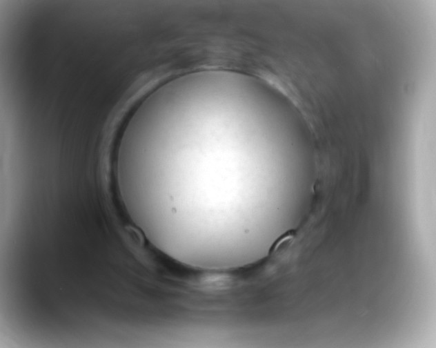 X0000088050055200706011349