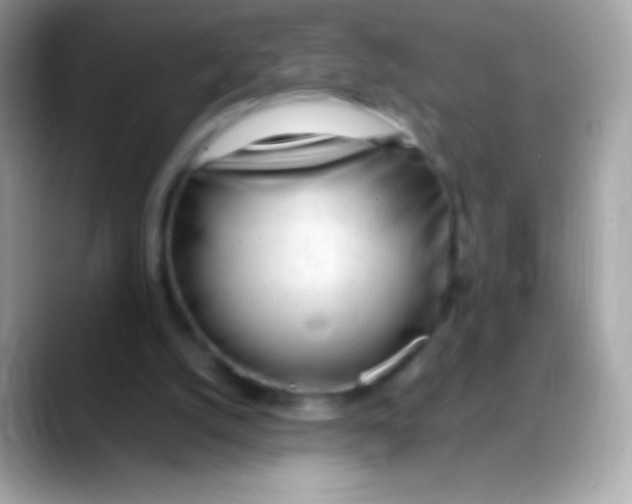 X0000088050056200706011349
