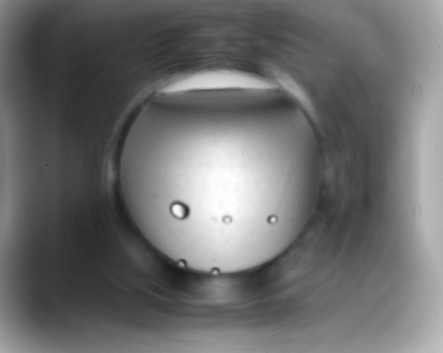 X0000088050059200706011349