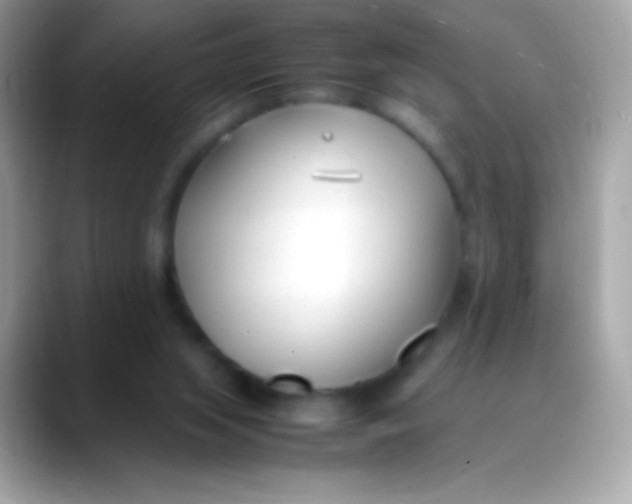 X0000088050063200706011350