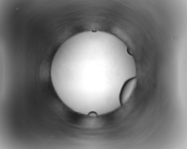 X0000088050065200706011350