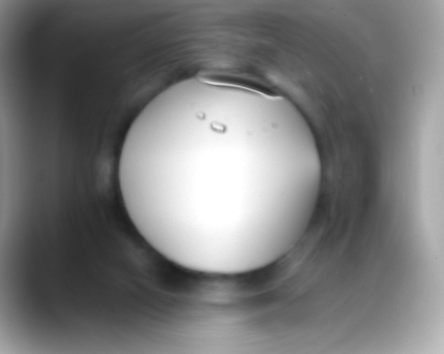 X0000088050066200706011350